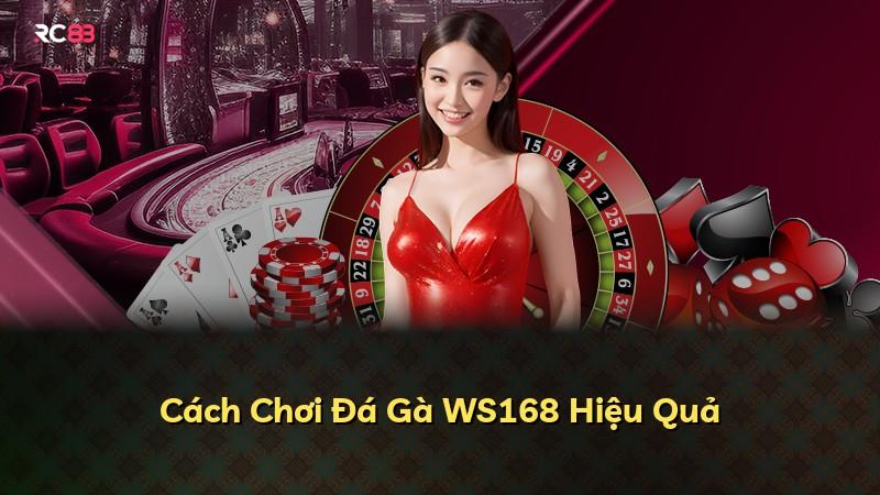 Cách Chơi Đá Gà WS168 Hiệu Quả