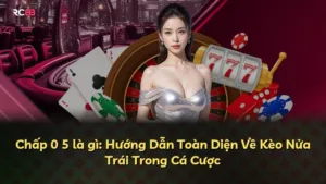 Chấp 0 5 là gì: Hướng Dẫn Toàn Diện Về Kèo Nửa Trái Trong Cá Cược