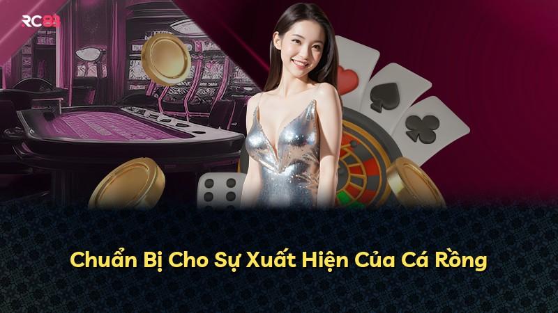 Chuẩn Bị Cho Sự Xuất Hiện Của Cá Rồng