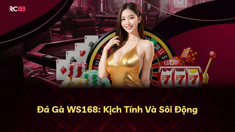 Đá Gà WS168: Kịch Tính Và Sôi Động
