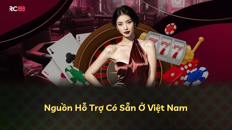 Nguồn Hỗ Trợ Có Sẵn Ở Việt Nam