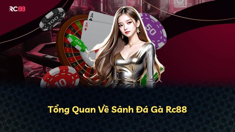 Tổng Quan Về Sảnh Đá Gà Rc88